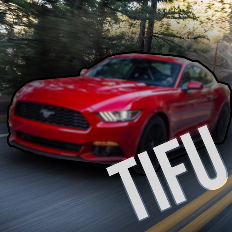 ZLECENIE MUSTANG.jpg