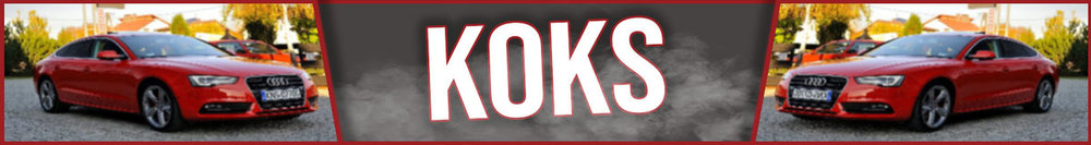 baner brzydki koks zlecenie.jpg