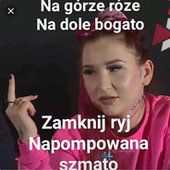 Bizon