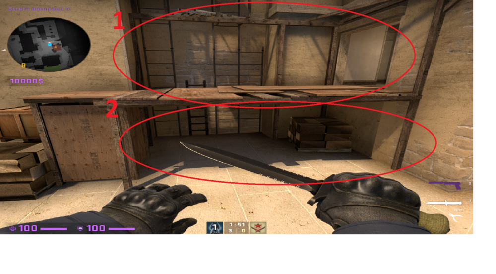 2122041499_paace.thumb.png.5b476d63383aea36a59d634308be39e1.png