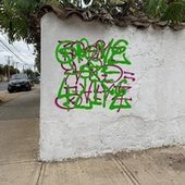 Bolo