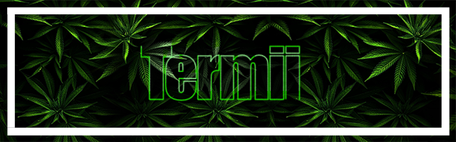 termii.png.b5e8f5747c25670242c86535dee80bee.png
