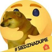 ktdp8