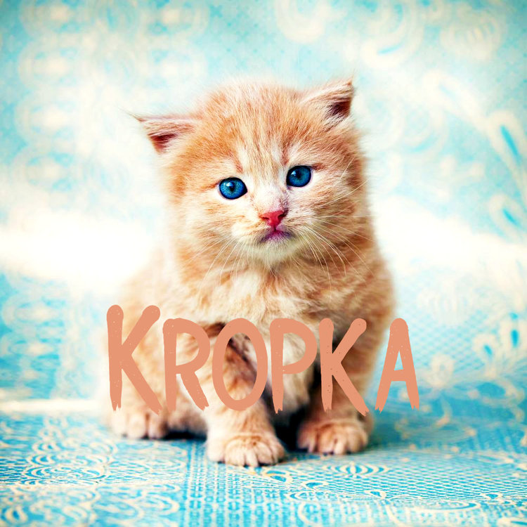kropka1.jpg