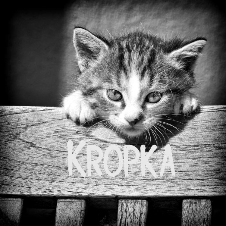 kropku.jpg