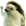 image.png.ca7a67a89d01eb7ff6f269e35e2e4c6a.png