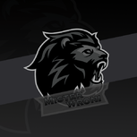 MISTER_W