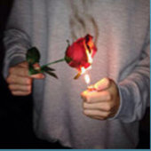 opor