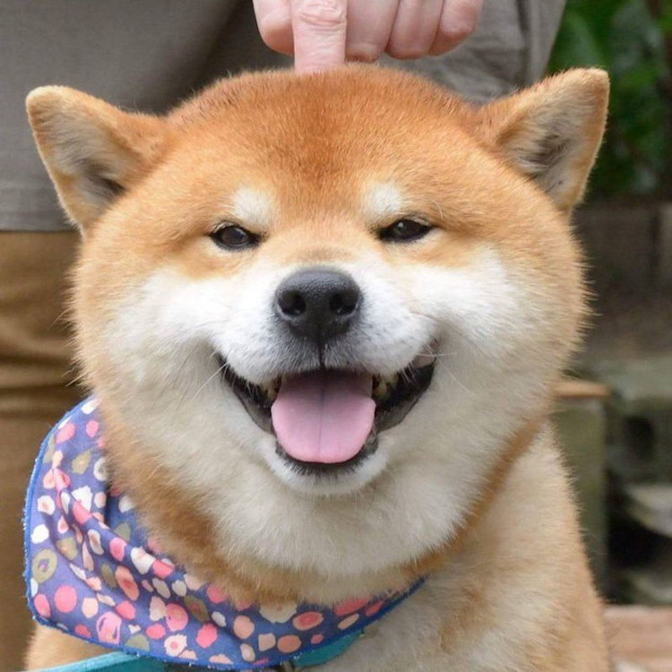 80F368F2-41F3-44A2-94FB-45647E4F028A.jpeg