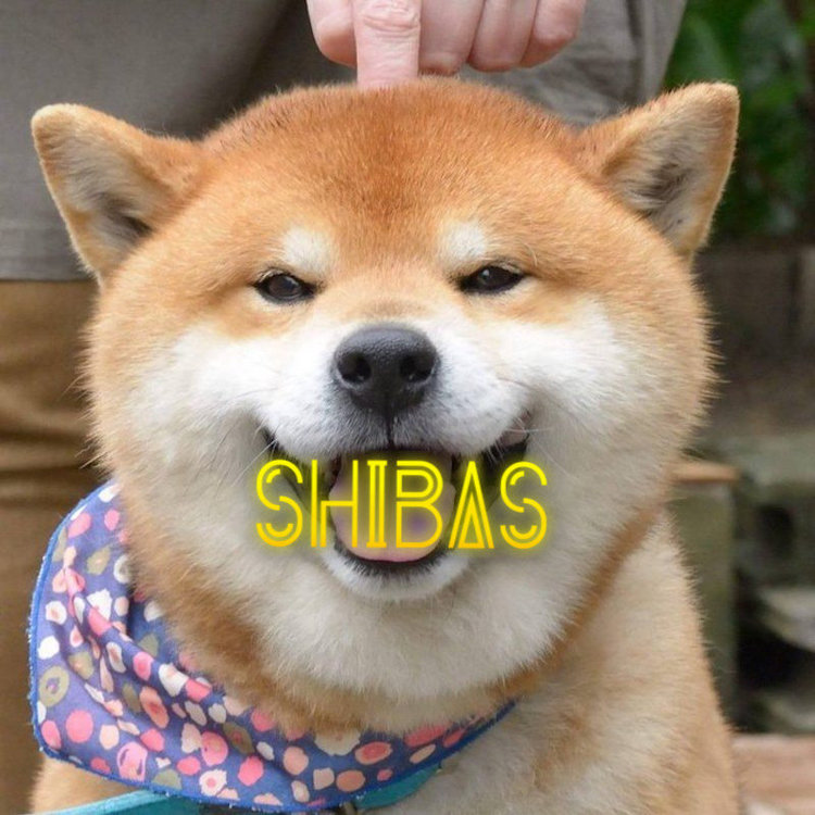 FE1FFBD2-1B8C-467B-A539-2BF01830B139.jpeg