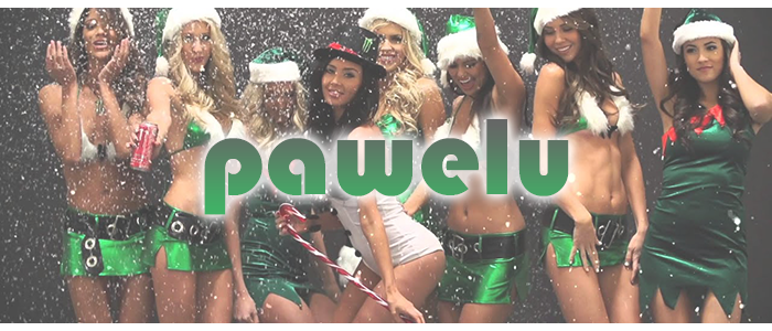 paw.png.4f30d2987ab6751145a15559f07bfbf9.png