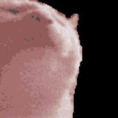 zjks