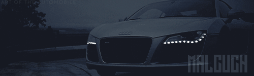 FSA.gif.e6f7c97d43ab100e313ebb42b4af3ee7.gif