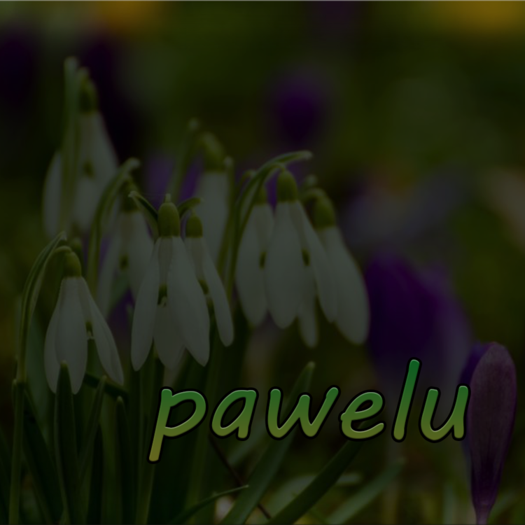 pawelu313131313331.png