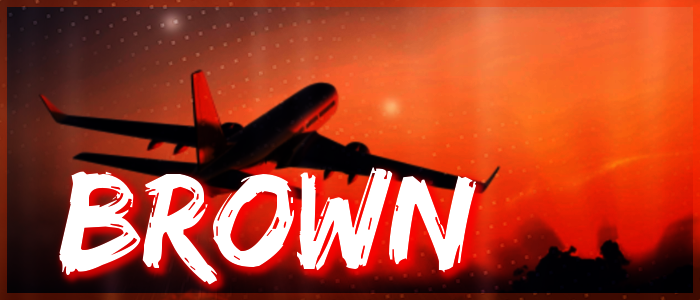 brown.png.8ab915b02503e0ab77e8abe50e592b8d.png