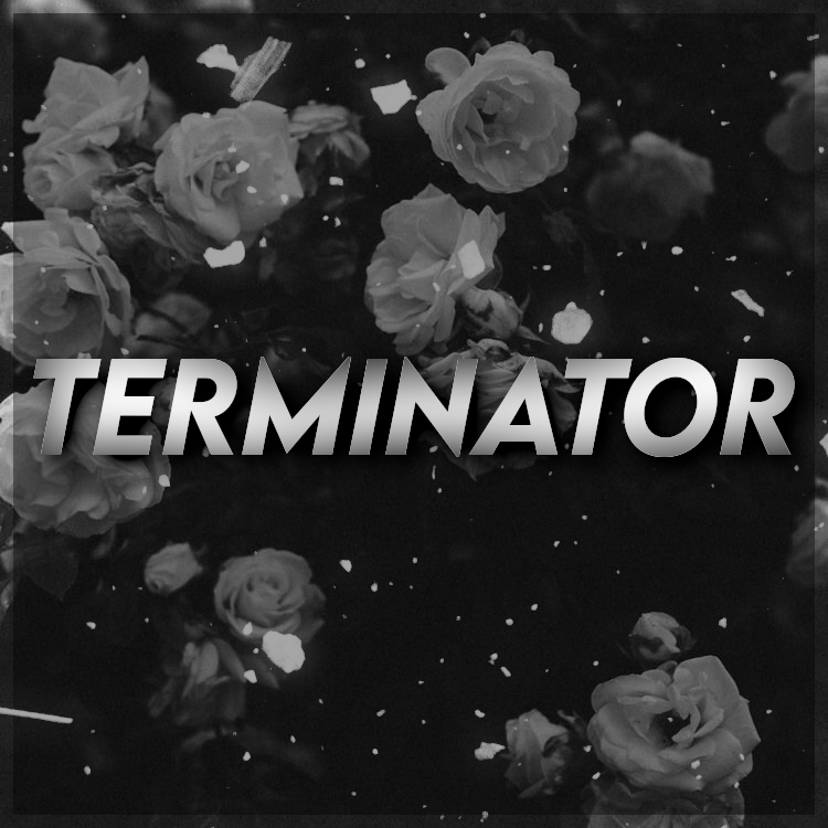 TERMI12.png.1208e44484afbcc5e60bf083b4286617.png
