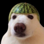 Piti