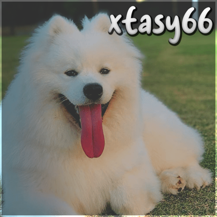 1033680731_easysamojed.thumb.png.cb69966df868d16b49233763b930c31a.png