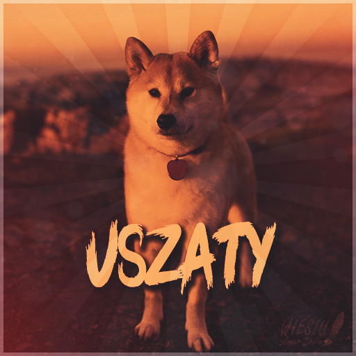 uszaty2.png.38648f35e37f441306e6e1d40d44919b.png