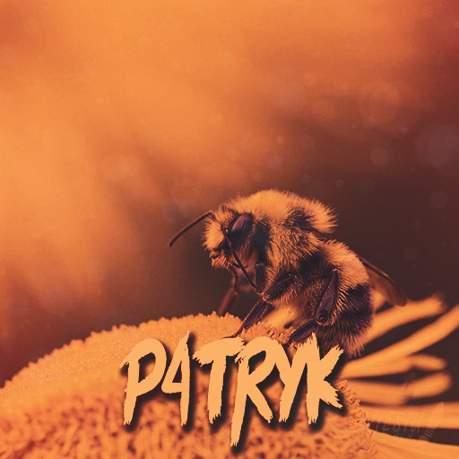 P4TRYK1.png.71e3e9bbecc56654fa2c977a5e7fdba7.png