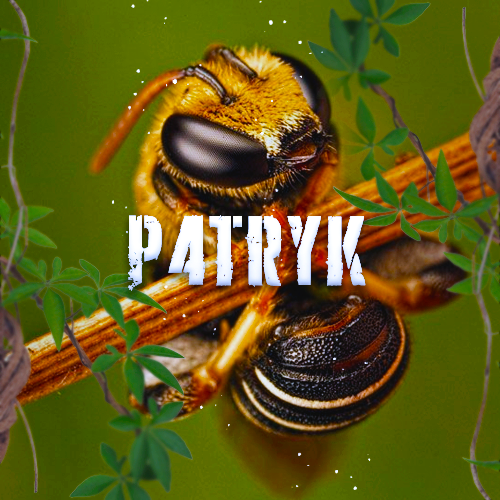 patryk.png.8f5bfcdcbb04139acf67d49a97e164b4.png
