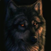 WiLkU0703