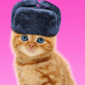 _OwO_Cute-_-