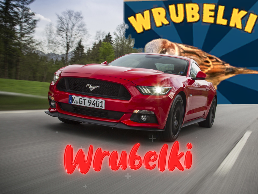 wrubelki.png