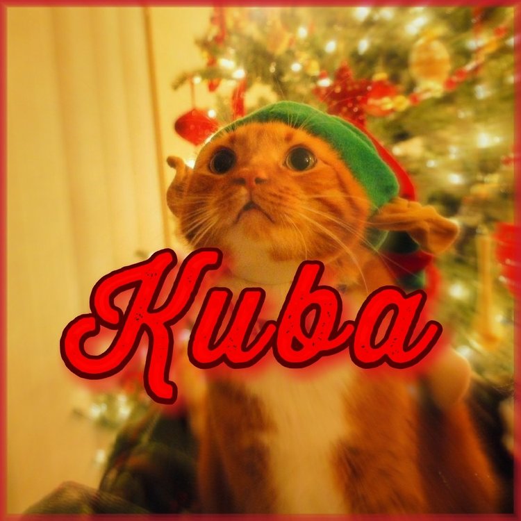 Kuba.jpg