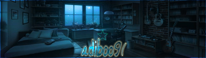adiboo2131.jpg