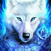 GalaxyWolf