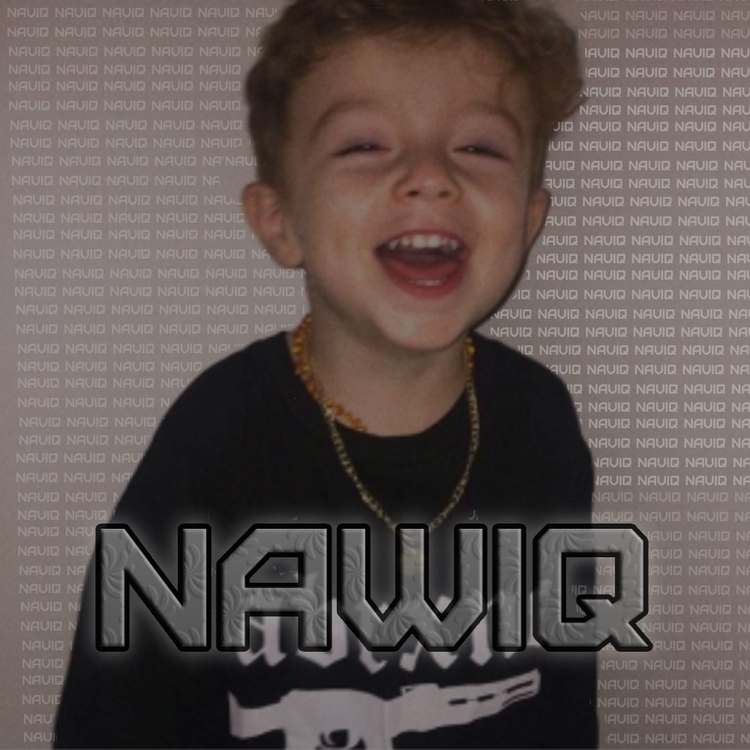 VisLaud.png