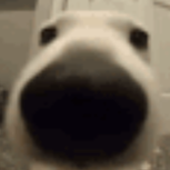 EnoNeK