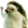 image.png.27fc45ef6c13fd0df448680798fa5ffc.png