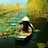 Binh11