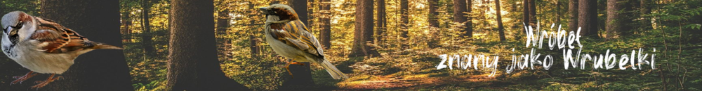 wrublopis.png