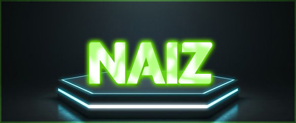 naiz231312321321313.jpg