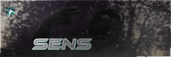sens.png.47ee9d88826d998d2c4242bf53de48d9.png