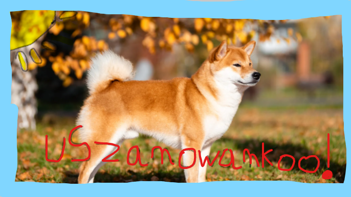 image.png.f60016e8d81ed626a838b913fe64061c.png