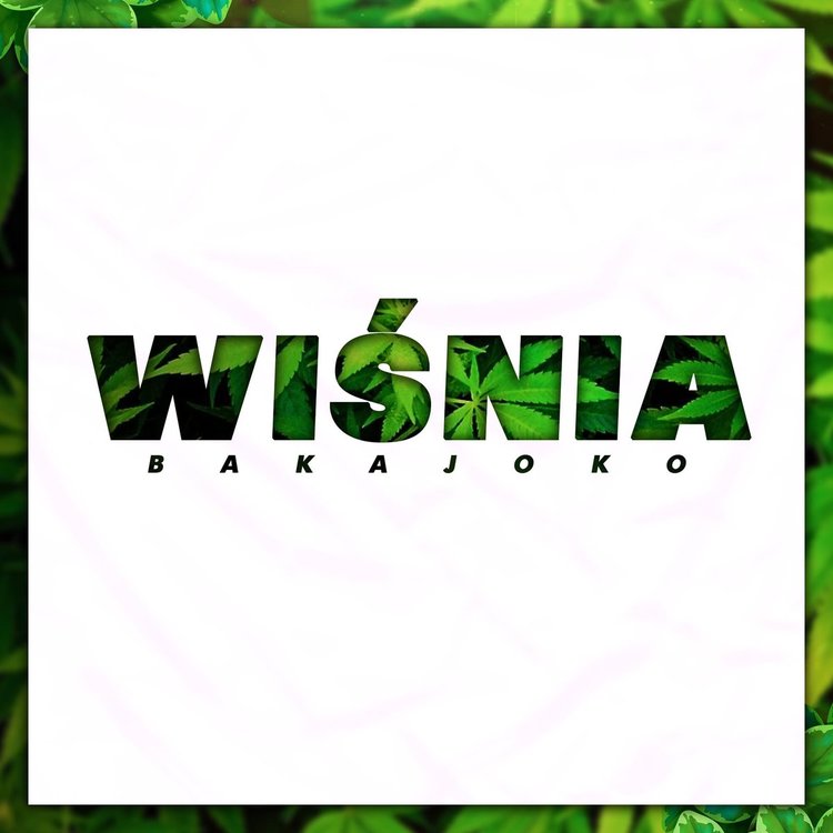 1462313.5_wisniaaa-min.jpg