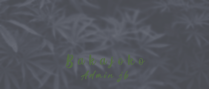 9466181_sygnaturabakajoko.png.f81baf8afd74aff1c4ed11c013336ab2.png