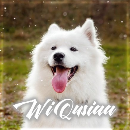 wiqusiaa.jpg.5f880061d3bc3d4c54fe580ef21d37bf.jpg