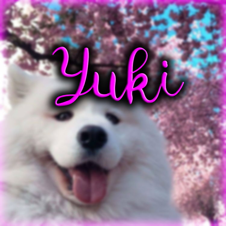 2100603360_rafis1337(1).png.2ca03fdb0bd01d6db71cf9528d8f534d.png