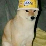 Zoog