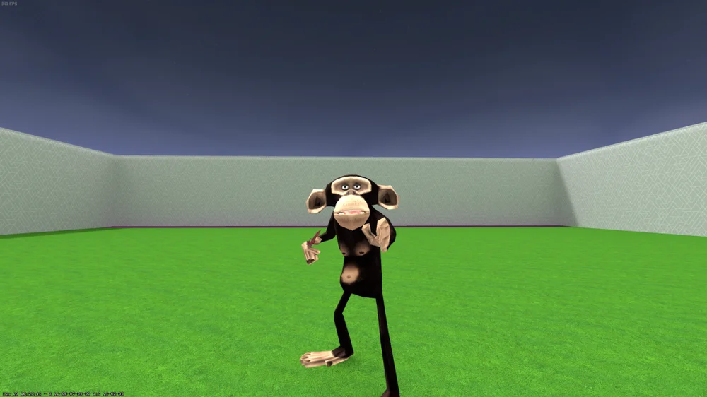malpa za madagaskar.webp